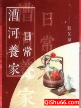 漕河养家日常小说