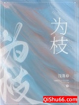 为枝小说