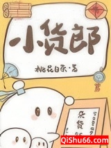 小货郎小说