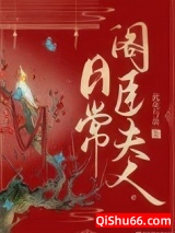 阁臣夫人日常小说