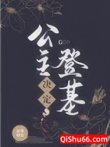 公主决定登基小说