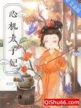 心机太子妃小说