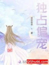 独占偏宠小说