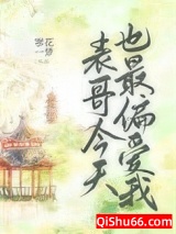 表哥今天也最偏爱我小说