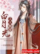 人人都爱白月光小说