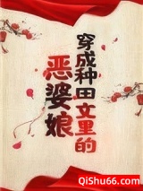 穿成种田文里的恶婆娘小说