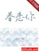眷恋你小说