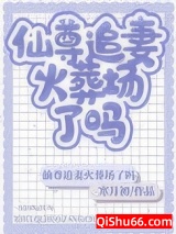 仙尊追妻火葬场了吗小说