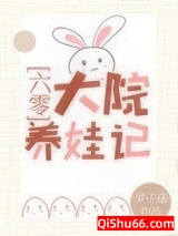六零大院养娃记小说