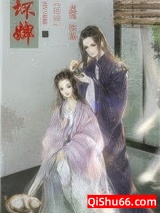 坏婢（重生）小说