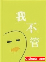 我不管，神经病也要睡觉觉小说