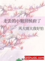 走丢的小姐回侯府了小说