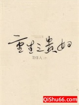 重生之贵妇小说