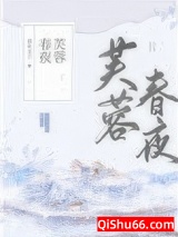 芙蓉春夜小说