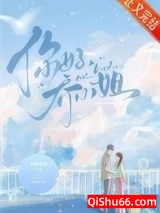 你好，乔小姐小说