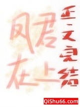 病娇凤君逼我当女帝小说