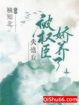 失忆后被权臣娇养了小说