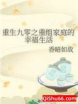 重生九零之重组家庭的幸福生活小说