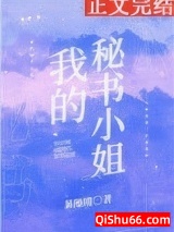 我的秘书小姐小说