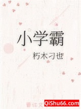 小学霸小说