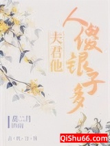 夫君他人傻银子多小说