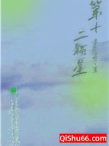 第十二颗星小说