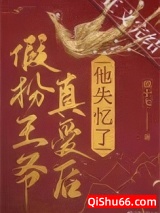 我要这美貌有何用小说