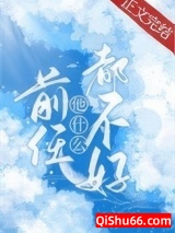 前任他什么都不好小说