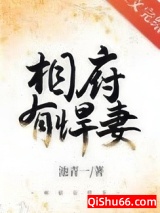 相府有悍妻小说