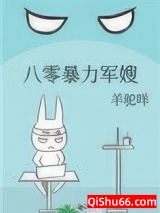 八零暴力军嫂小说