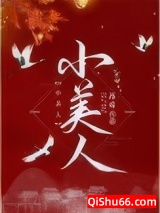 小美人小说