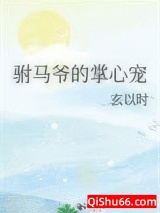 驸马爷的掌心宠小说