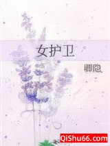 女护卫小说