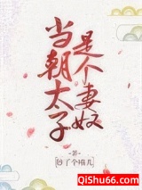 当朝太子是个妻奴小说