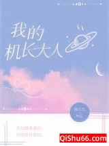 我的机长大人小说