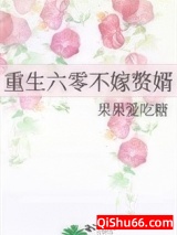 重生六零不嫁赘婿小说
