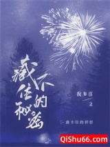 藏不住的秘密小说