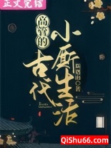 高管的古代小厮生活小说
