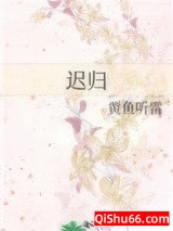 迟归小说