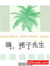 嗨，裙子先生小说