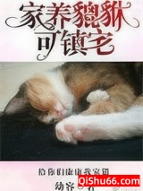 家养貔貅可镇宅小说