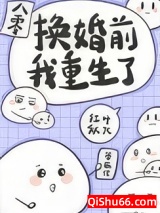 换亲姐姐重生了[八零]小说