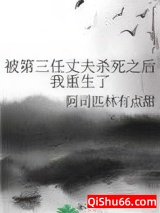 被第三任丈夫杀死之后我重生了小说