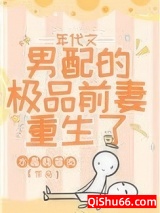 年代文男配的极品前妻重生了小说