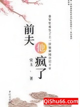 前夫他疯了（重生）小说