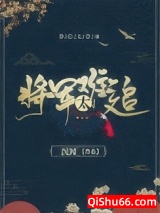 重生之将军太难追小说