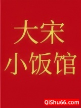 大宋小饭馆小说