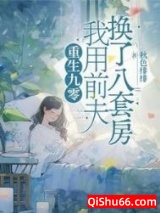 重生九零，我用前夫换了八套房小说