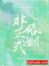 非正式婚姻小说