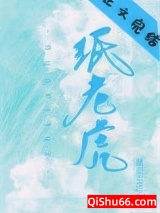 纸老虎小说